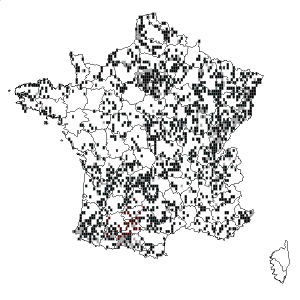 Distribution de (Eupatorium cannabinum) en France / Source : eFlore - Tela Botanica